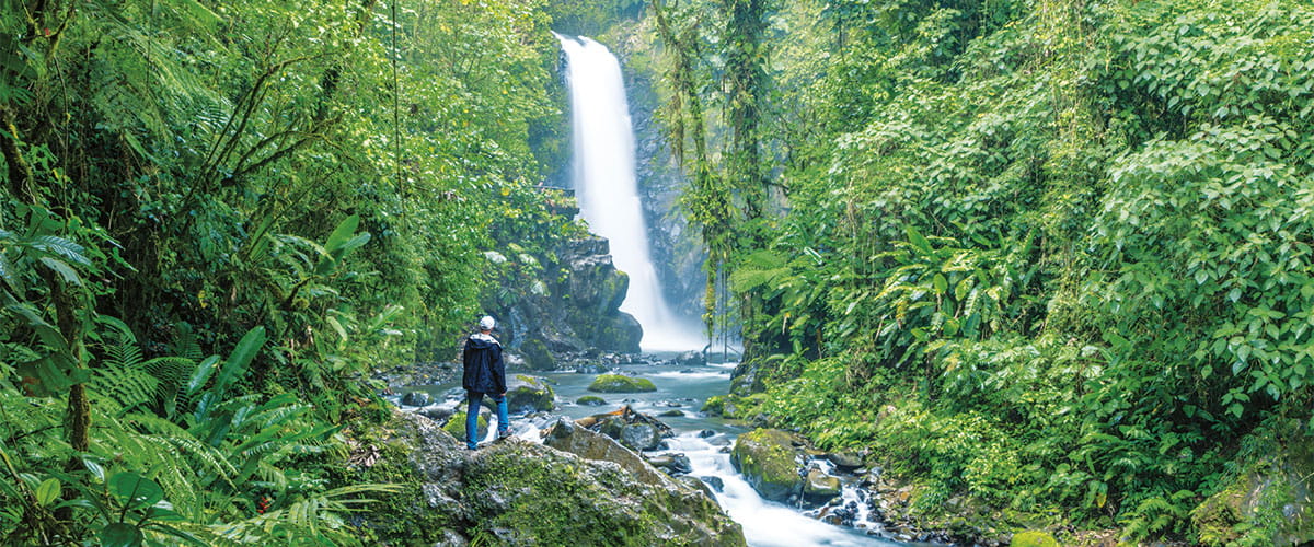 Tour Birdwatching in Costa Rica Saga Holidays AB032